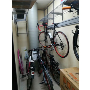 velosiped v garage Домострой